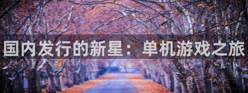 江苏杏耀智得新材料有限公司：国内发行的新星：单机游戏之旅