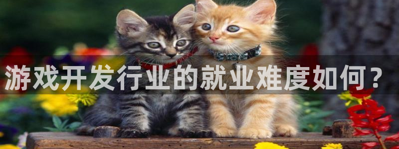 杏耀是哪个国家的衣服品牌：游戏开发行业的就业难度如何？