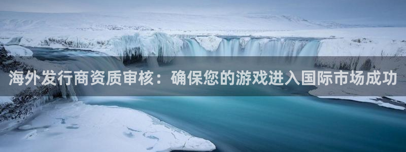 南京杏耀子电子商务有限公司：海外发行商资质审核：确保您的游戏进入国际市场成功