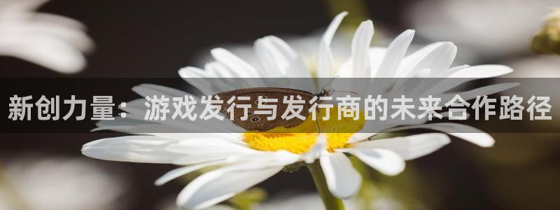 杏耀官网注册平台怎么注册：新创力量：游戏发行与发行商的未来合作路径