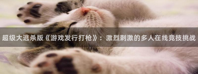 杏耀官网登录注册账号是什么样的：超级大逃杀版《游戏发行打枪》：激烈刺激的多人在线竞技挑战