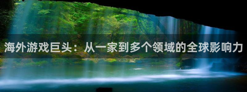 杏耀官网注册登录不了：海外游戏巨头：从一家到多个领域的全球影响力