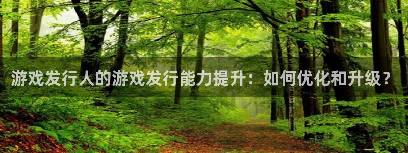 杏耀官网登录注册不了怎么回事：游戏发行人的游戏发行能力提升：如何优化和升级？
