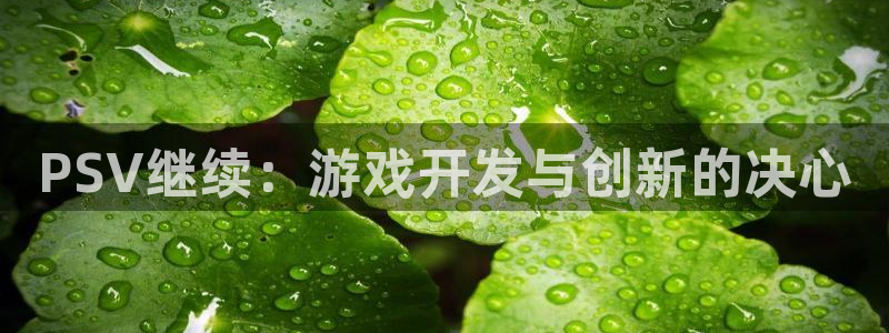 杏耀官网注册登录：PSV继续：游戏开发与创新的决心