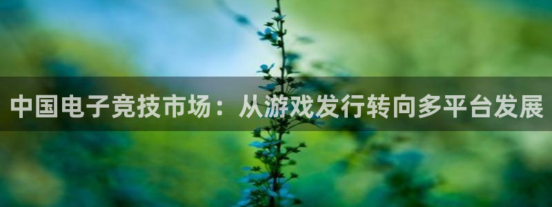 杏耀官网登录注册：中国电子竞技市场：从游戏发行转向多平台发展