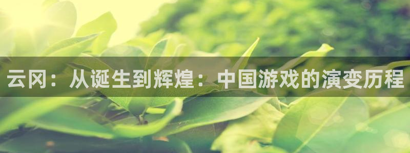 四川杏耀科技有限公司：云冈：从诞生到辉煌：中国游戏的演变历程
