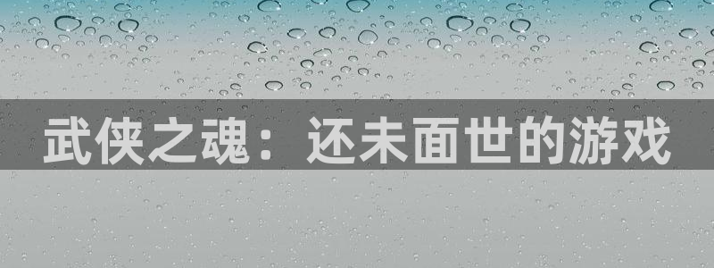 深圳市杏耀科技有限招聘公司：武侠之魂：还未面世的游戏