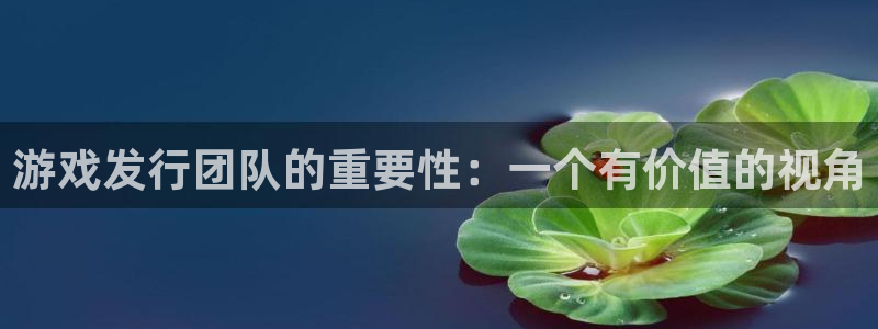 杏耀子寓意：游戏发行团队的重要性：一个有价值的视角