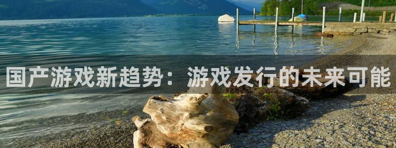 杏耀官网注册地址在哪里啊：国产游戏新趋势：游戏发行的未来可能