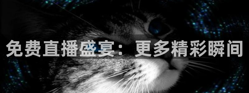 龙门直播官网下载