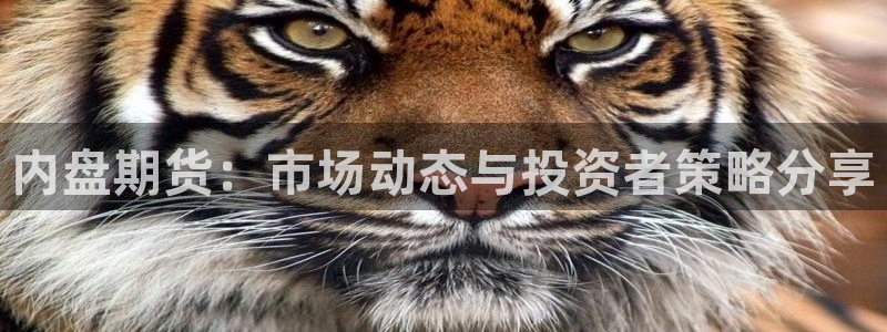 龙门飞甲哪个平台可以看：内盘期货：市场动态与投资者策略分享