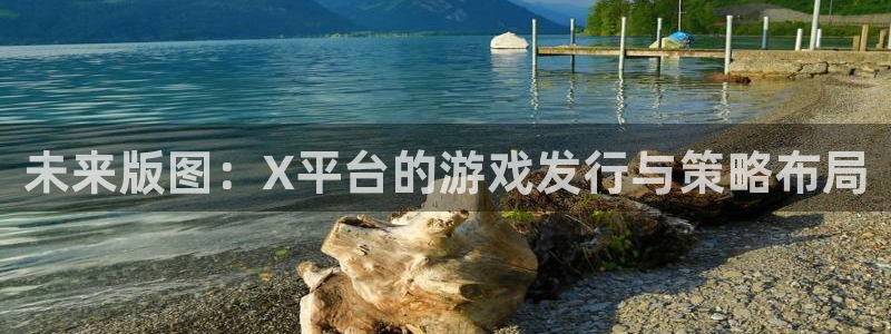 杏耀官网注册方法视频下载：未来版图：X平台的游戏发行与策略布局