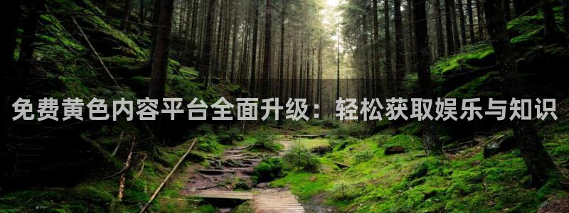 龙门在线直播nba