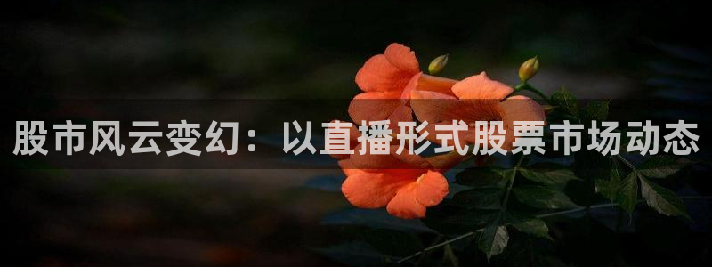龙门在线直播nba