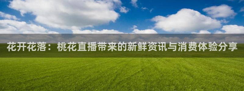 龙门直播间在线观看