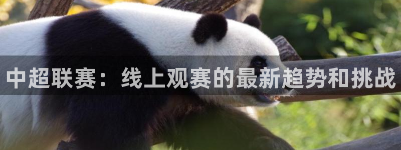 龙门直播官网：中超联赛：线上观赛的最新趋势和挑战