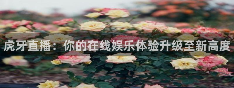 龙门直播app足球直播：虎牙直播：你的在线娱乐体验升级至新高度