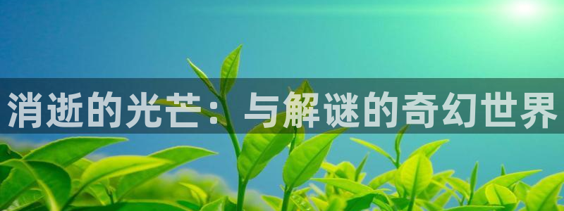 龙门直播下载官网