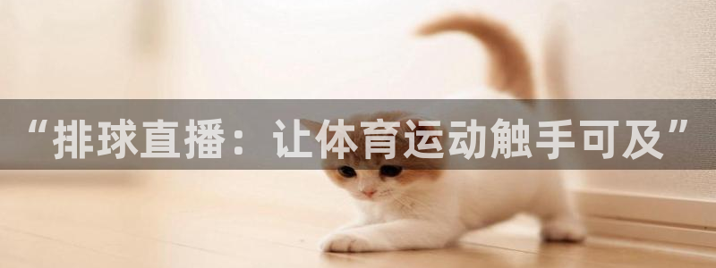 龙门体育在线直播