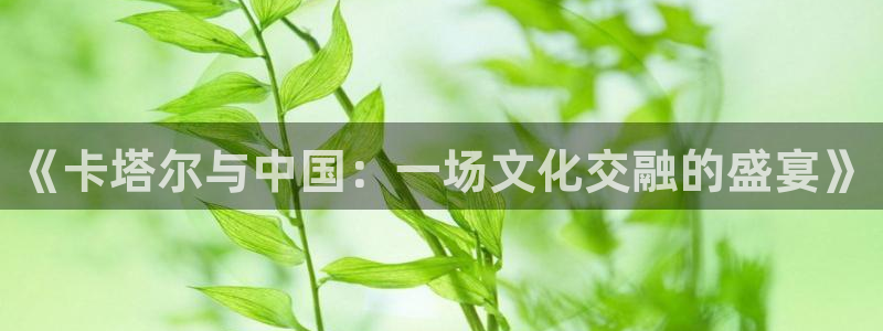 龙门直播app足球直播下载