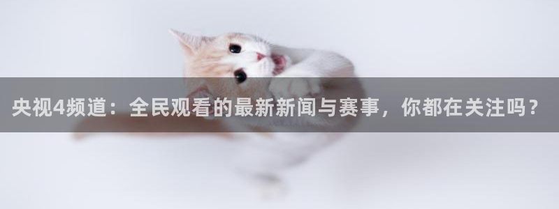 龙门直播在线直播：央视4频道：全民观看的最新新闻与赛事，你都在关注吗？