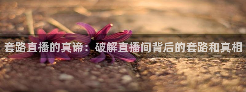178直播比赛在线观看龙门