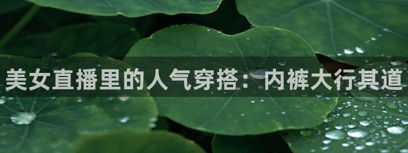 看球直播龙门直播