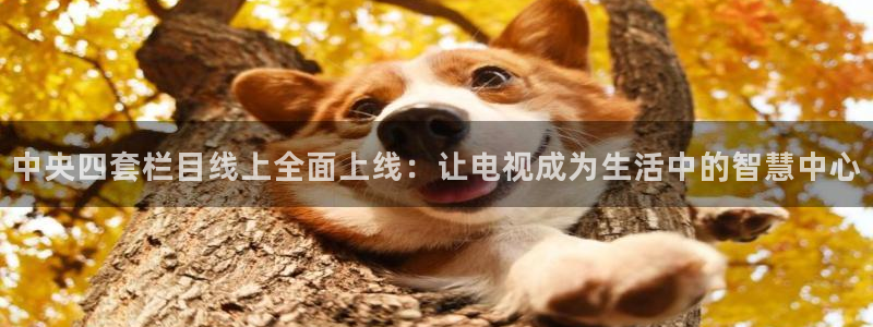 龙门比赛直播：中央四套栏目线上全面上线：让电视成为生活中的智慧中心